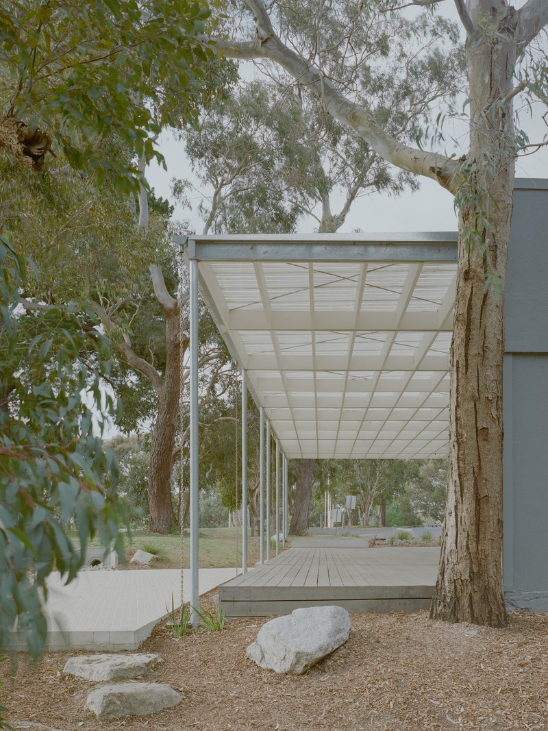 Covered timber walkway with gridded translucent roof and slender steel columns framed by eucalyptus trunks