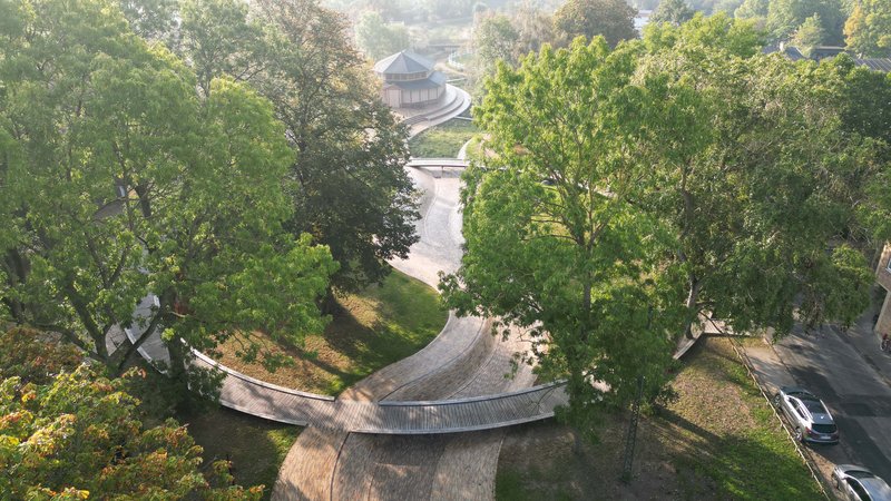 Aerial view of a curving timber boardwalk threading through mature deciduous trees in morning light