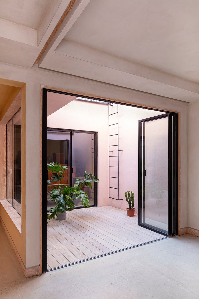 Interior view through open door to courtyard with potted plants and black steel ladder on white wall