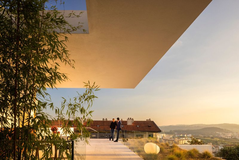 Roof terrace with bamboo plantings and two figures conversing at sunset overlooking distant hills