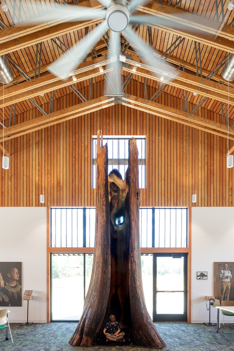 Entry hall with gabled timber ceiling and central preserved tree trunk sculpture flanked by glass doors