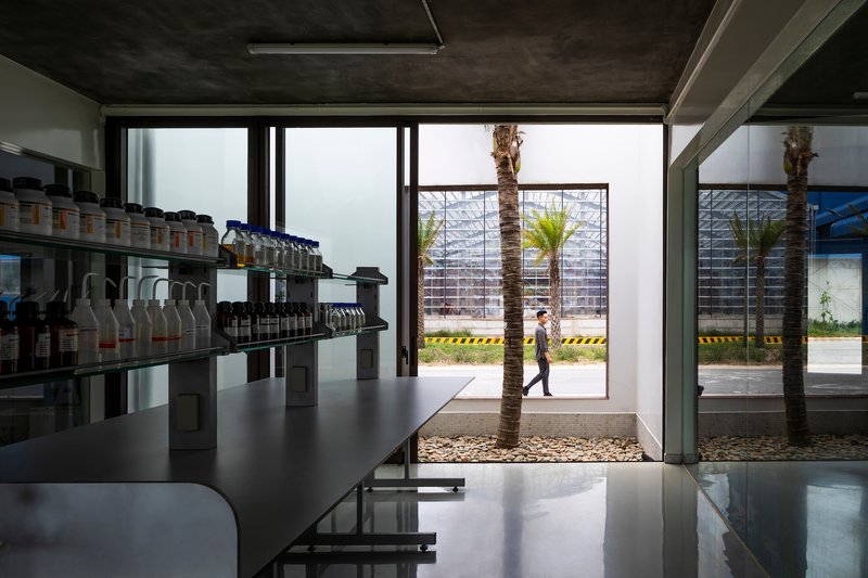 View through glass walls to interior courtyard with palm tree and person walking past exterior fence