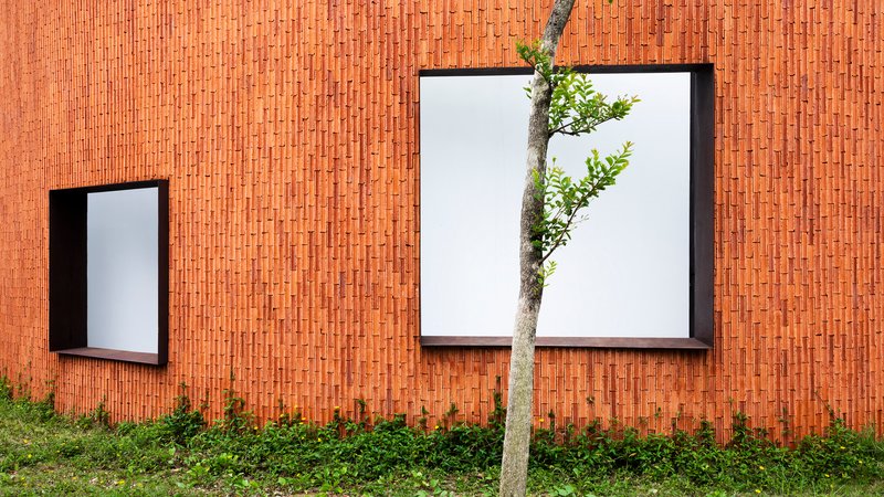 Close view of the terracotta brick wall with black-framed windows and a young tree