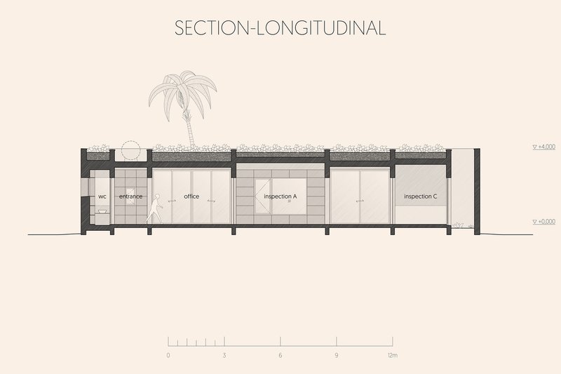 Longitudinal section drawing showing a linear sequence of rooms with a palm tree above