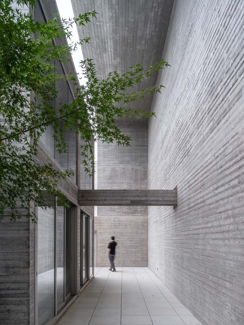 Narrow courtyard passage with board-formed concrete walls and a small tree beside a walking figure