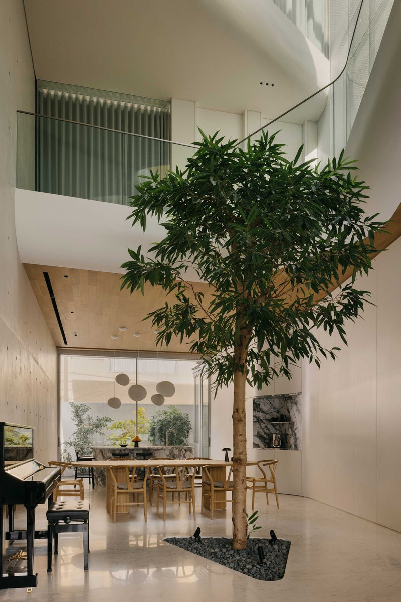 Interior tree rising through the void with views to the dining level and upper balcony