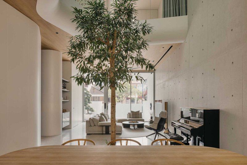 Double-height living space with a planted tree rising through timber floors and concrete walls