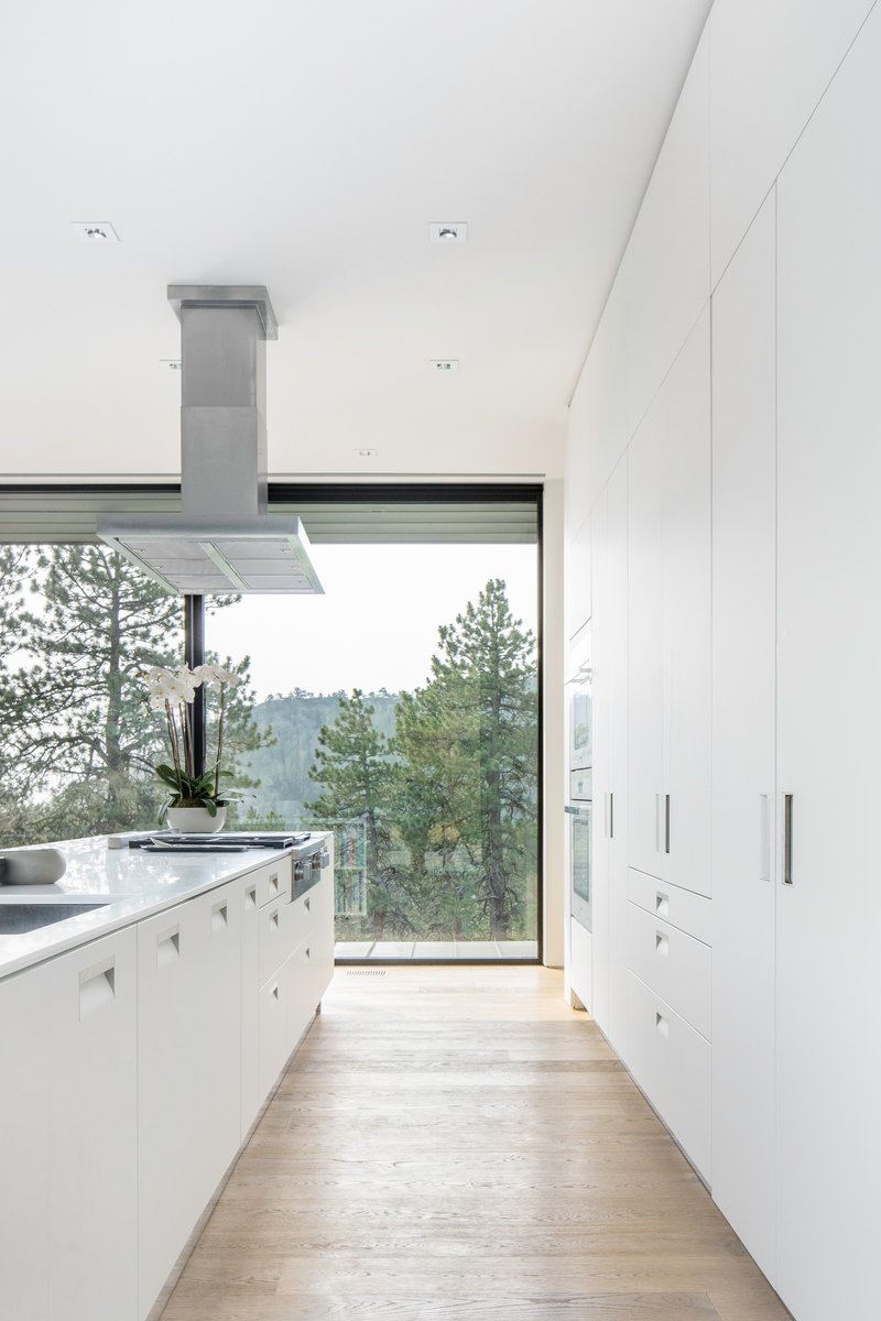 White galley kitchen with stainless steel range hood and clerestory window overlooking pine trees
