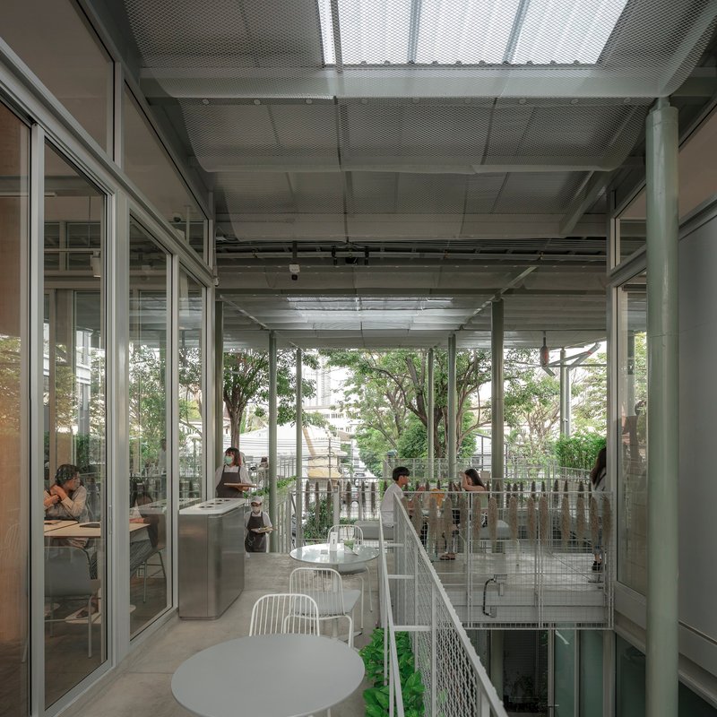 Corridor along glazed walls overlooking a planted terrace with wire mesh railings and mature trees beyond
