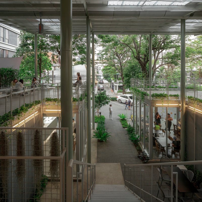 View down into the central courtyard showing circulation paths, planted beds and people gathering below
