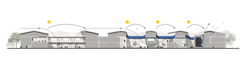 Section drawing illustrating arched roof forms over interior spaces with trees flanking the ends