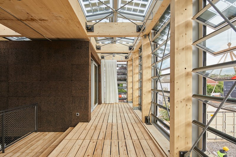 Timber-framed gallery with decking and cork wall under a glazed sawtooth roof