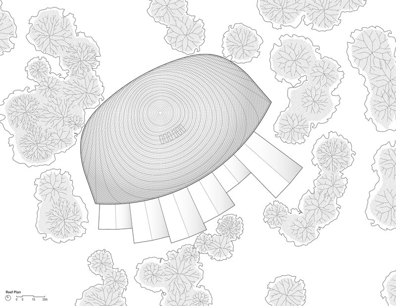 Roof plan drawing of the organic teardrop-shaped dome with radiating structural grid among tree canopies