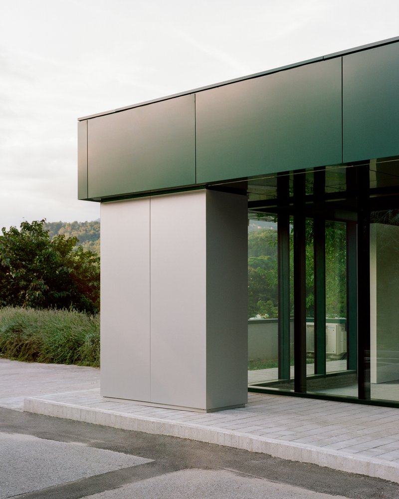 Corner detail of green metal canopy overhanging glass doors with hillside vegetation in background