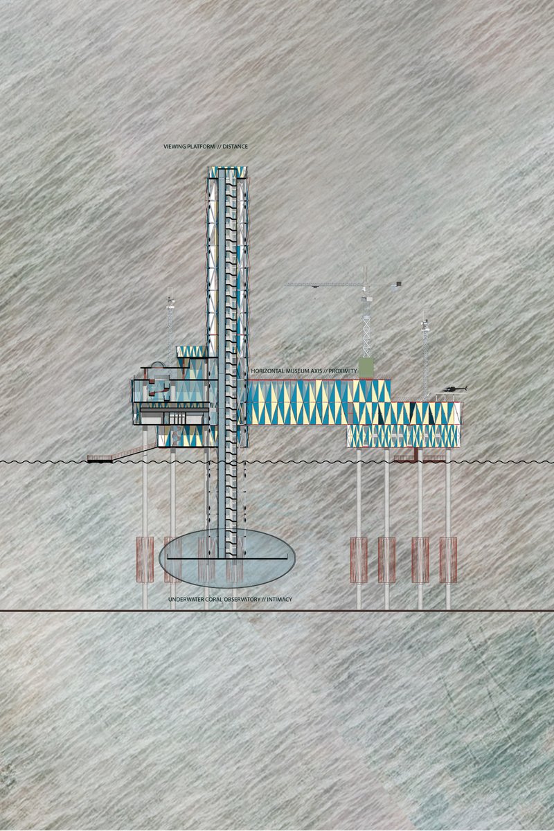 Architectural section revealing the viewing tower, museum axis, and underwater coral observatory connecting sky and sea.
