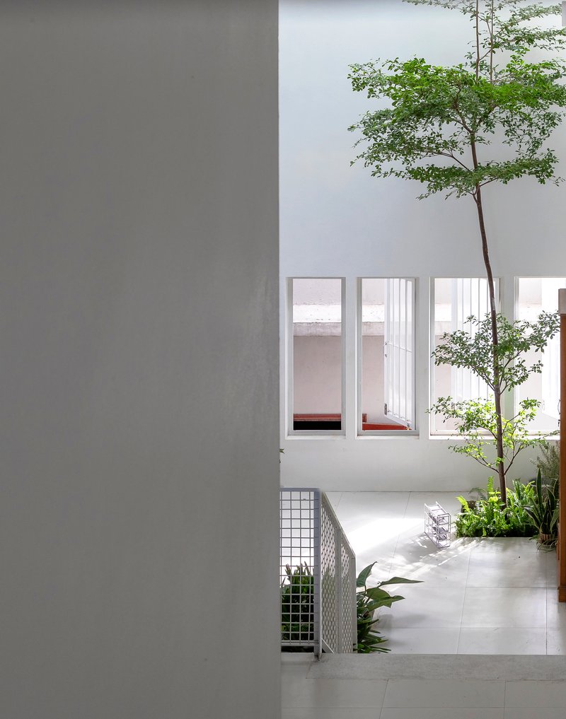 Internal courtyard with a tall tree growing through a slab opening beside gridded metal planters