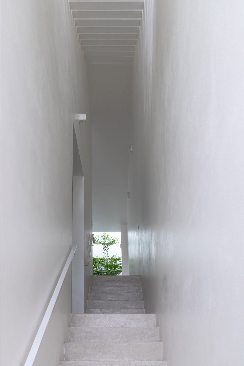 Narrow staircase descending between white walls toward a small tree visible at the landing below