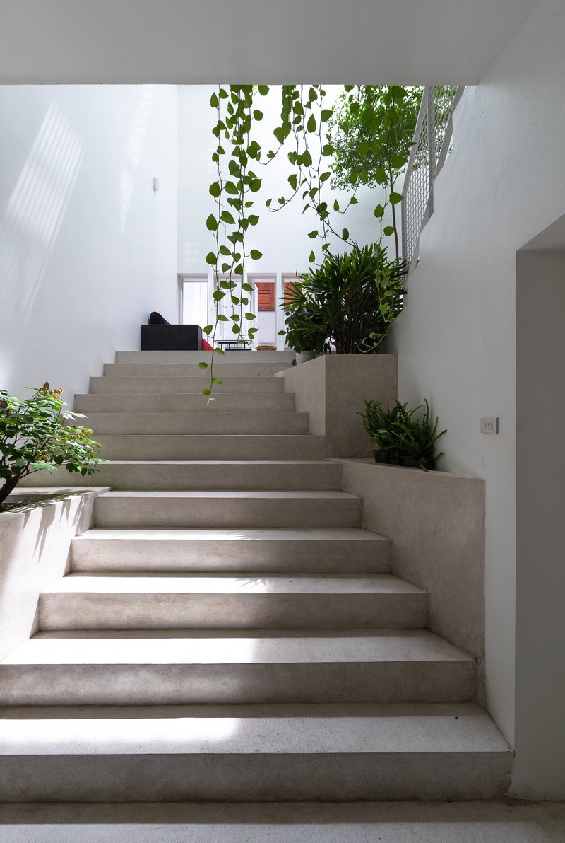 Concrete staircase ascending alongside white walls with hanging vines and potted plants in natural light