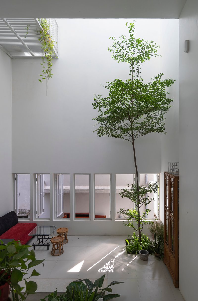 Double-height interior courtyard with a central tree rising through the space and clerestory windows above