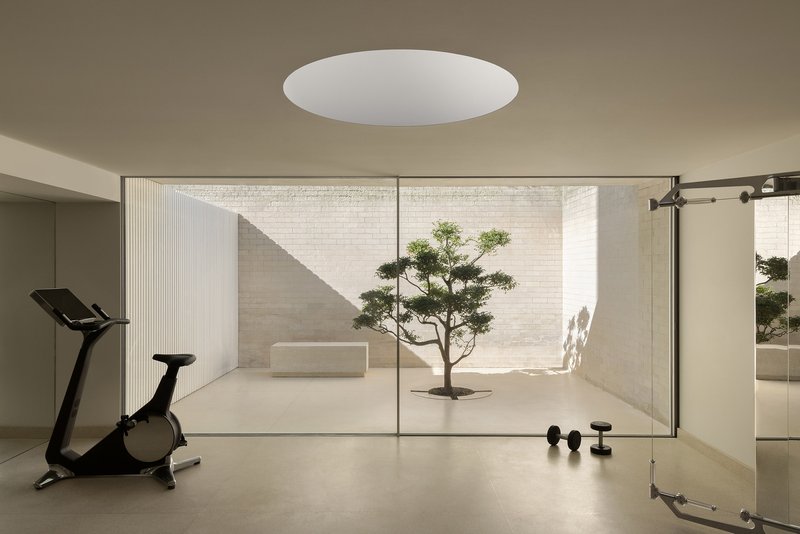 Glass-walled exercise room with a circular skylight overlooking a courtyard with a pruned tree