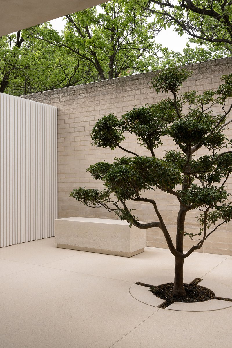 Courtyard with a pruned tree in a circular planter against light-colored brick walls