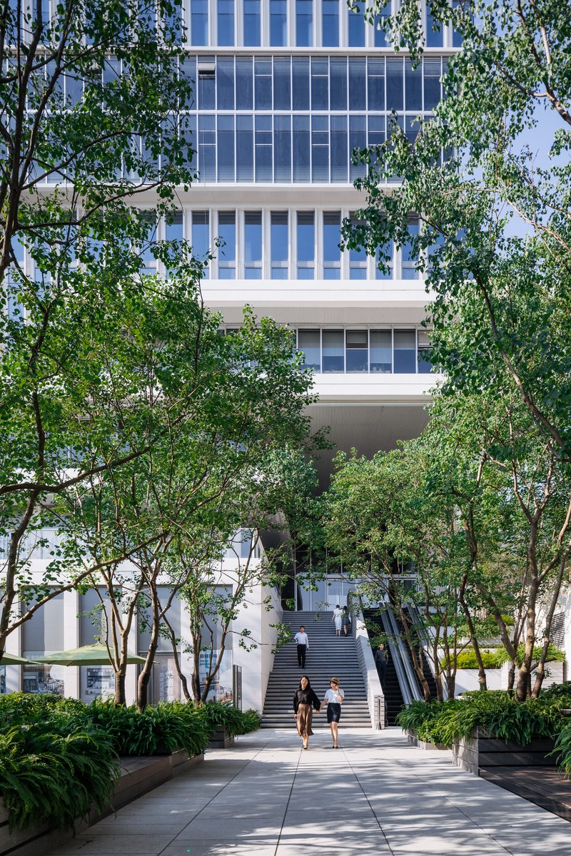 Ground-level view of entrance plaza with paved walkway, planted beds, trees and pedestrians approaching glass tower