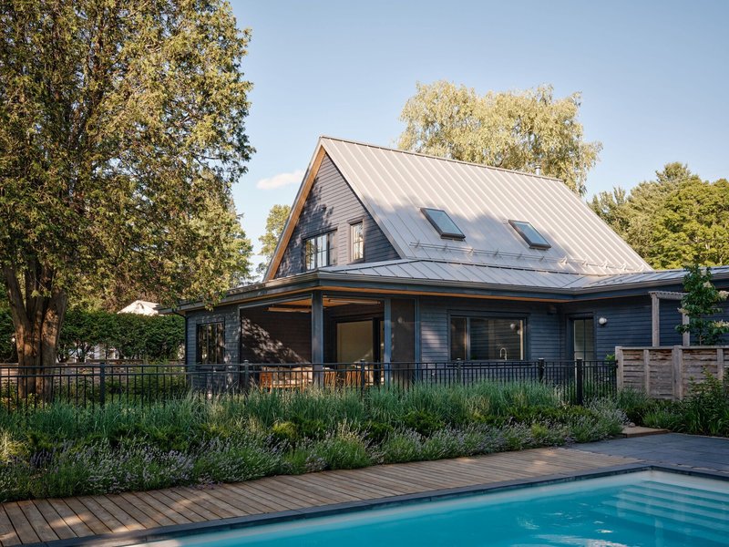 Rear elevation with standing seam metal roof and pool deck surrounded by ornamental grasses in afternoon light
