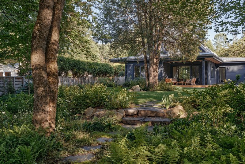 Garden view with stone steps and ferns leading to dark-clad house among mature trees