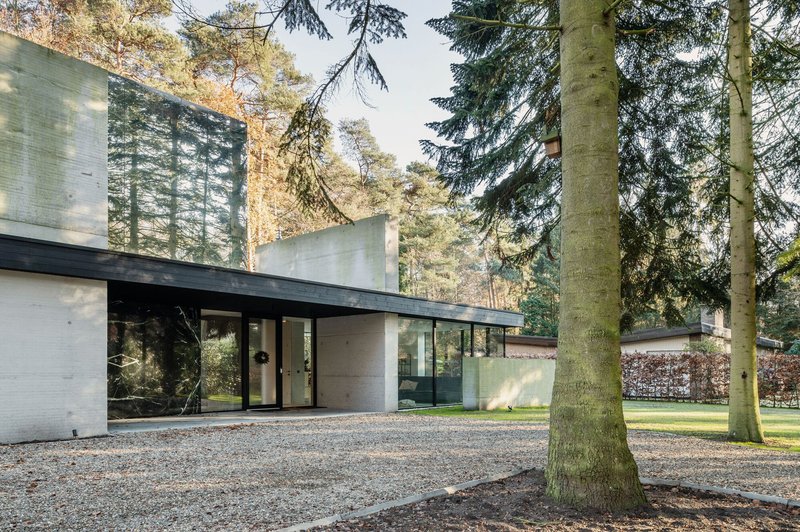 Entry sequence with gravel courtyard framed by concrete volumes and tall conifers casting shadows