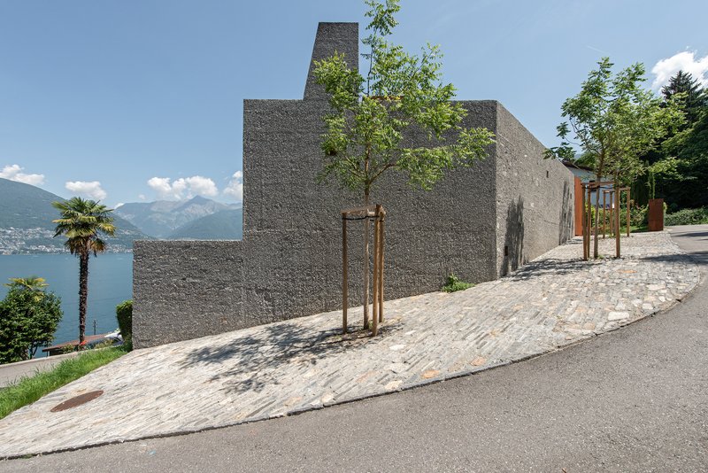 Cobblestone driveway leading to the aggregate concrete facade with newly planted tree and lake view