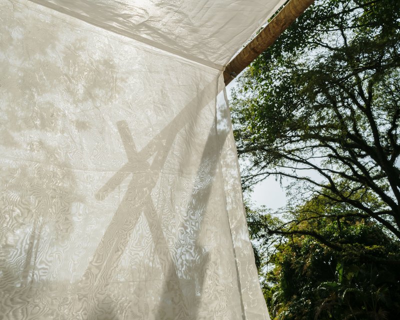 Translucent white fabric wall with tree branch shadows cast by afternoon sun