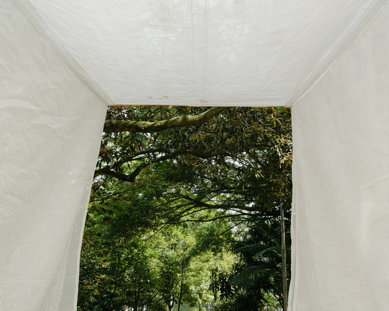 Interior view of fabric pavilion framing an arched tree opening to the forest beyond