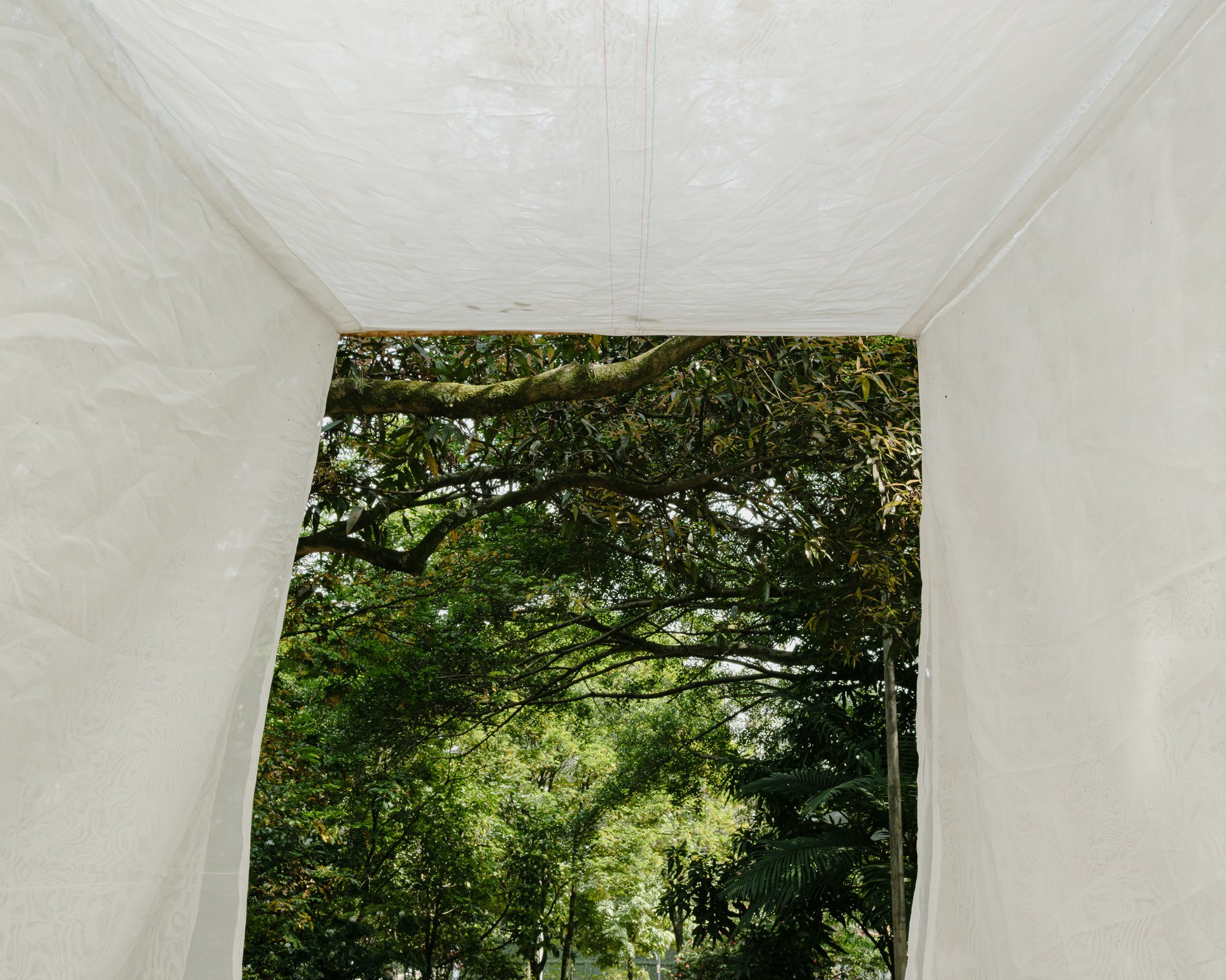 Gustavo Utrabo Suspends a Fabric Threshold Between the Trees of a São Paulo Park