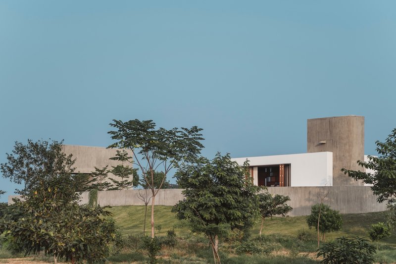 Board-formed concrete volumes and white plaster walls set among young trees on a grassy hillside