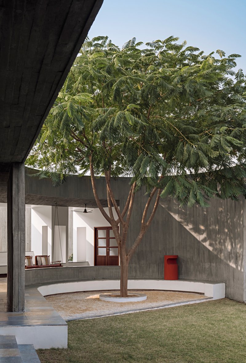 Courtyard view with a central tree in a circular planter surrounded by concrete walls and lawn
