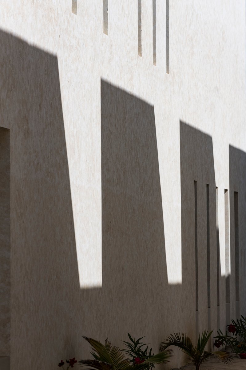 White stucco wall in bright sunlight casting vertical shadows with low plantings below