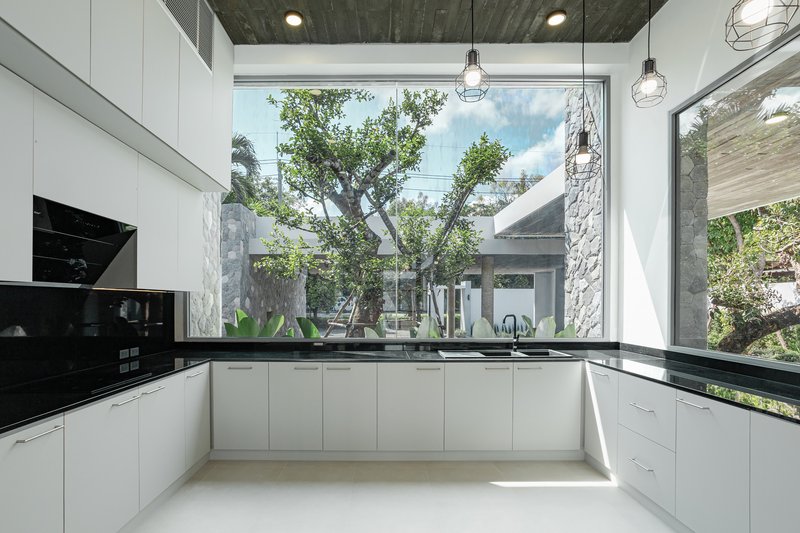White kitchen with black countertops and timber ceiling overlooking a planted courtyard through floor-to-ceiling glazing