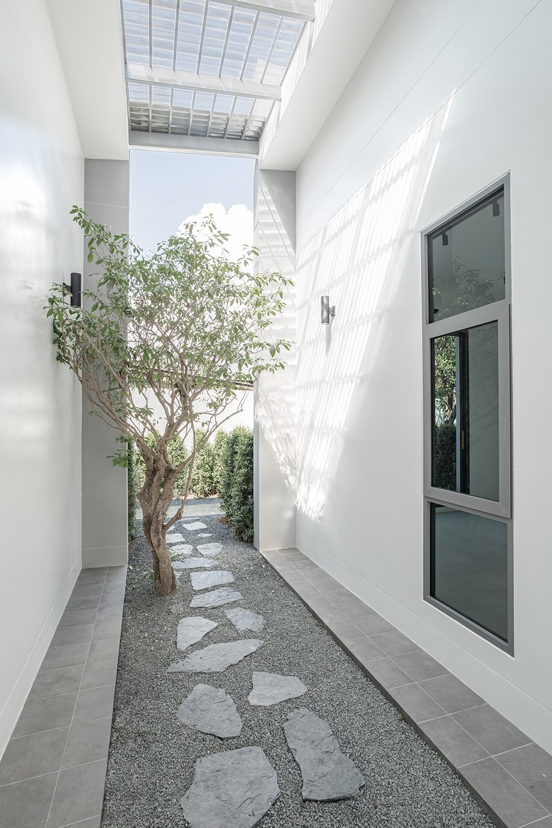 Narrow side courtyard with irregular stone pavers in gravel and a single tree beneath louvered skylight