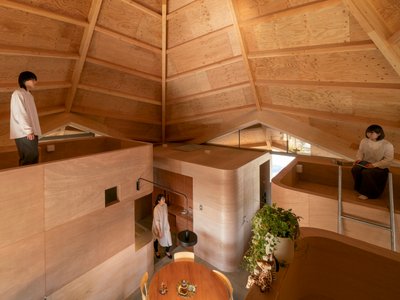 UID Architects Suspends a Spider-Web Roof Over Four Plywood Boxes in Suburban Japan