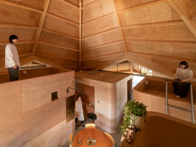 UID Architects Suspends a Spider-Web Roof Over Four Plywood Boxes in Suburban Japan