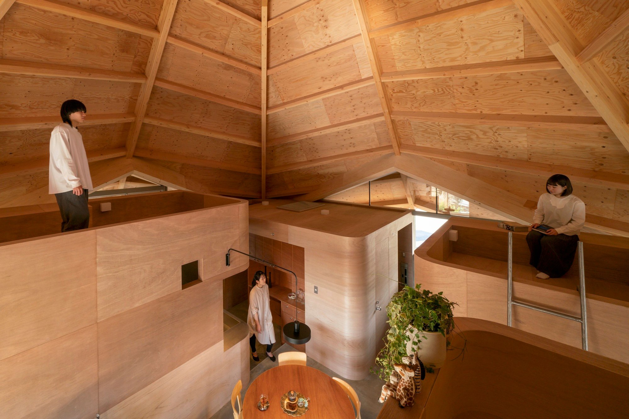 UID Architects Suspends a Spider-Web Roof Over Four Plywood Boxes in Suburban Japan