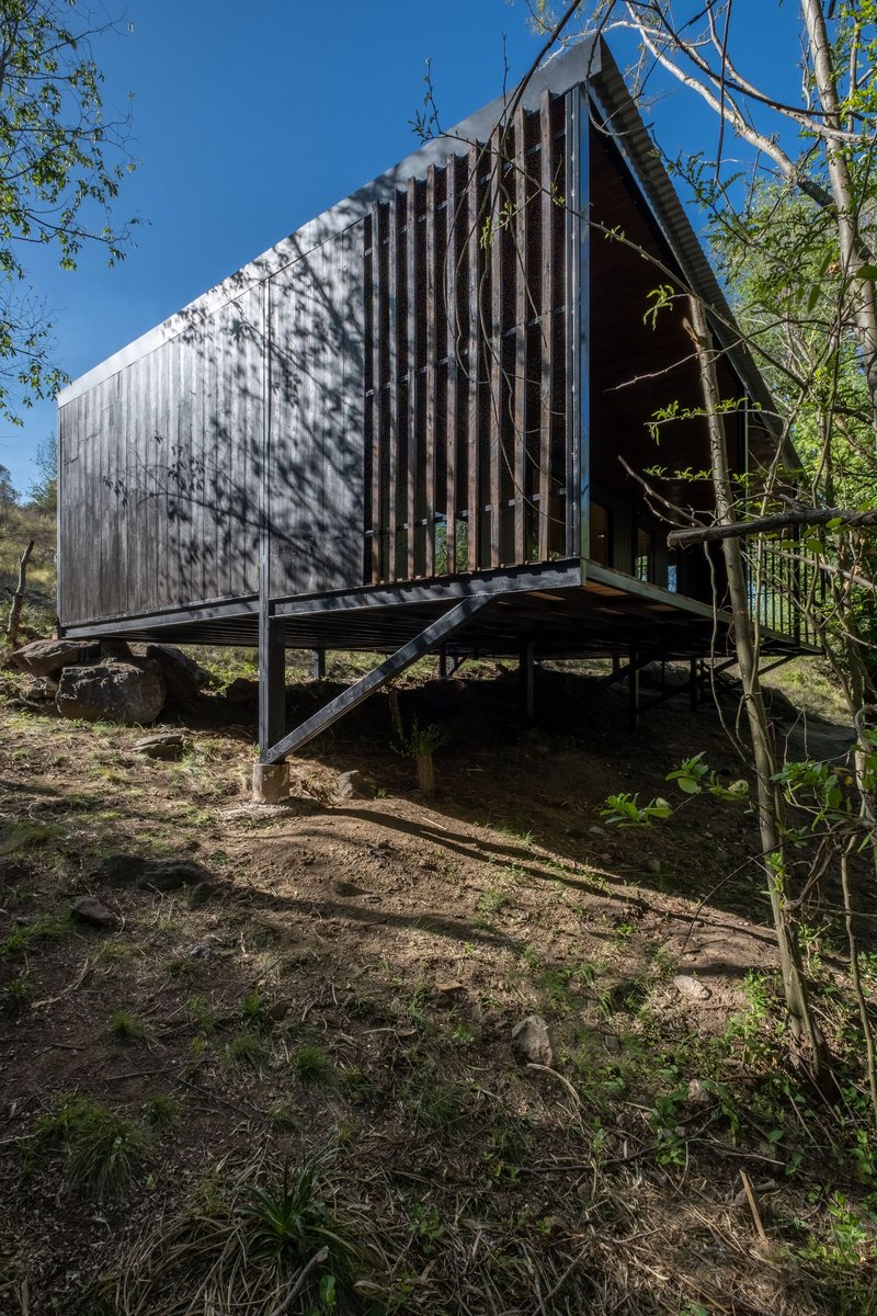 Gabled timber cabin on steel stilts amid native trees and dappled sunlight