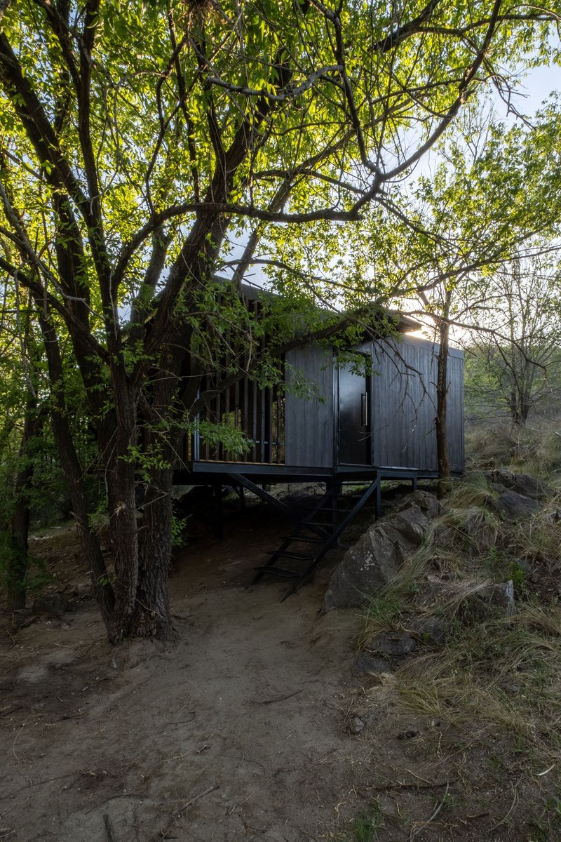 Elevated black timber cabin on steel stilts nestled under dense tree canopy beside a dirt path