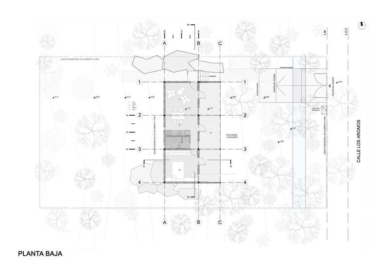 Ground floor plan drawing showing interior room divisions and surrounding trees in plan view