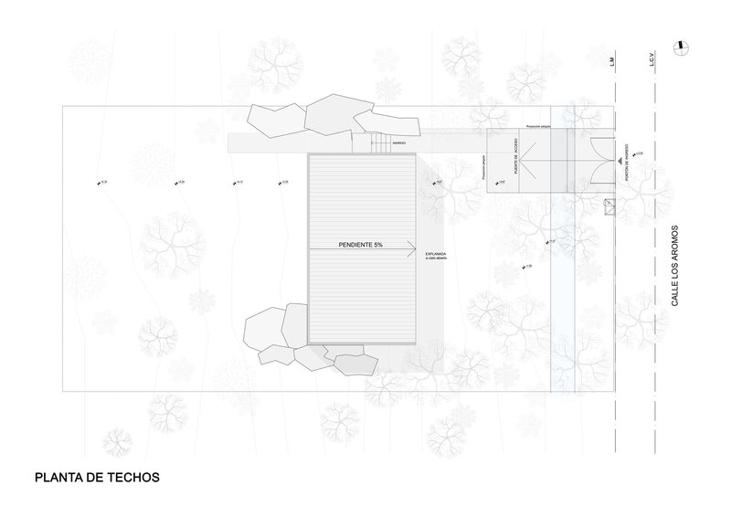 Roof plan drawing showing horizontal decking lines and adjacent landscape elements with tree symbols