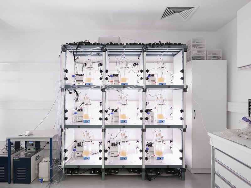 Laboratory wall fitted with a three-by-three grid of transparent modular chambers containing experimental equipment and tubing