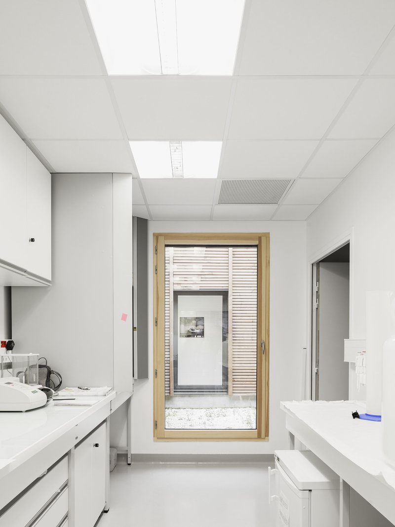 Laboratory corridor with white worktops and timber-framed window revealing horizontal louvres and a gravel courtyard beyond