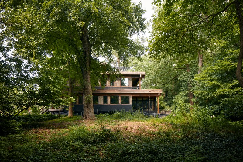 Rear elevation nestled among tall trees with tiered rooflines and horizontal band windows visible through foliage