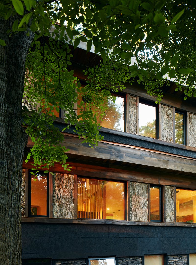 Layered facade detail framed by a mature tree trunk and overhanging branches