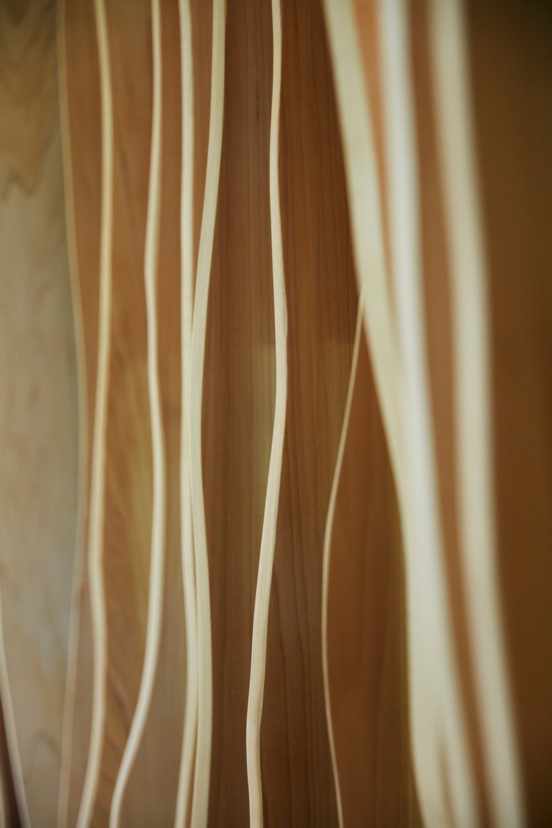 Close-up of vertical timber slats with natural grain and pale tones in soft light